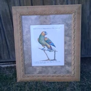 Beautiful bird with French script